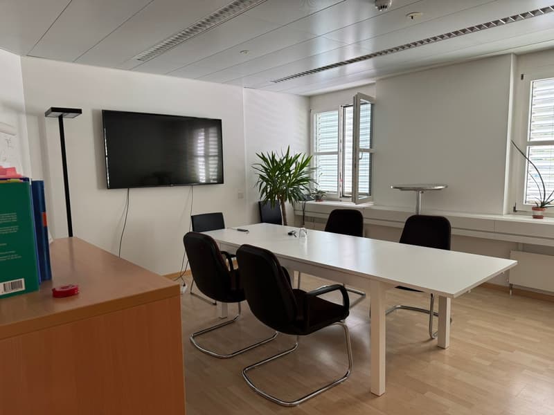 conference room, large window with open blinds, mounted TV, central table, black chairs, small potted plants, floor lamp, wooden floor