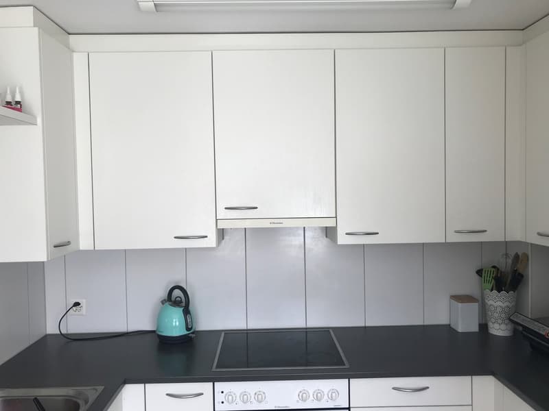 Appartement 4,5 pièces dans un bon emplacement (3)
