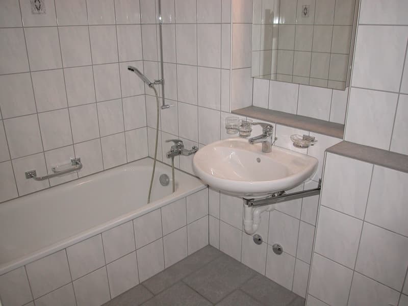 Appartement 4,5 pièces dans un bon emplacement (5)