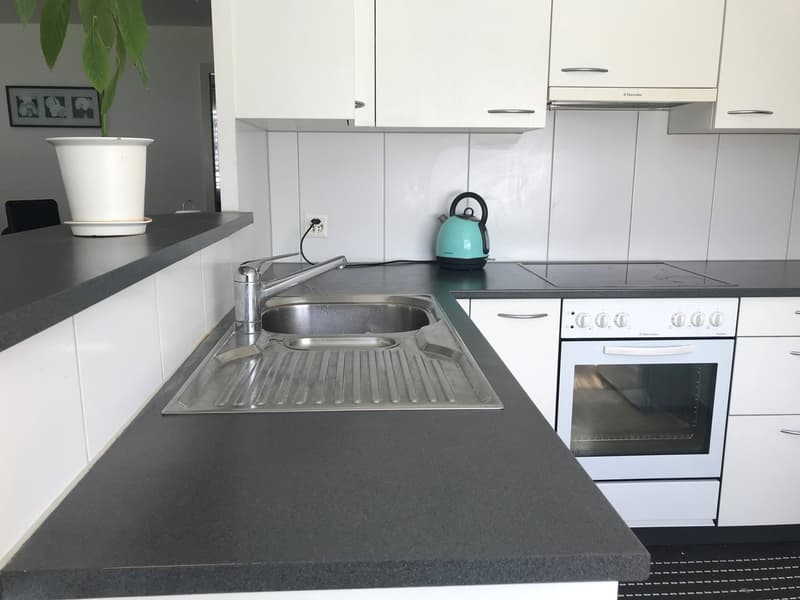 Appartement 4,5 pièces dans un bon emplacement (2)
