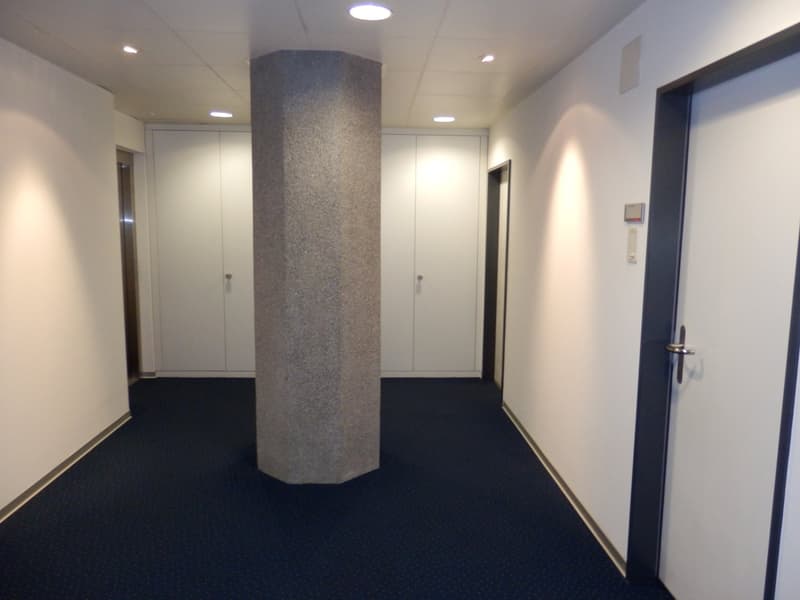 Espaces commerciaux et de bureau intéressants ! (3)