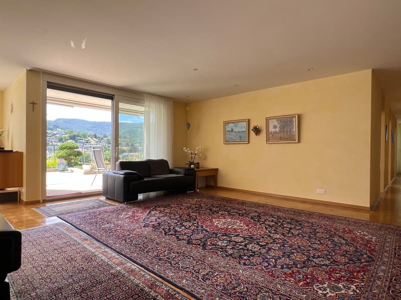 Comfortable living with panoramic views! (2)