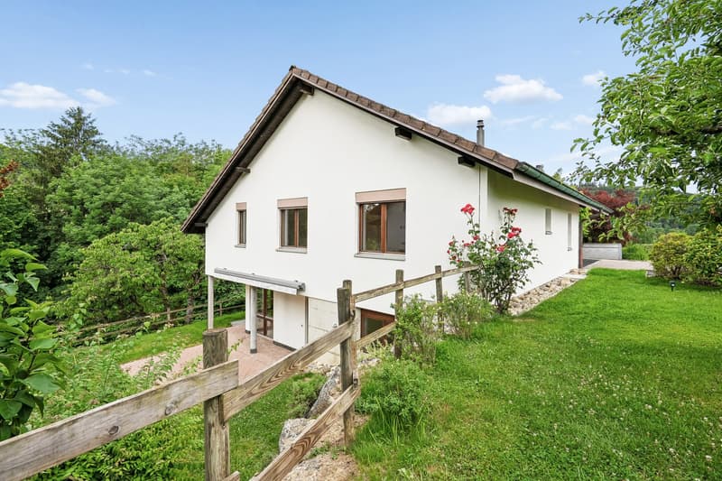 Einfamilienhaus Villmergen
