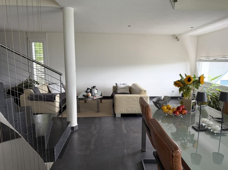 Design-Haus mit herrlicher Fernsicht! (2)