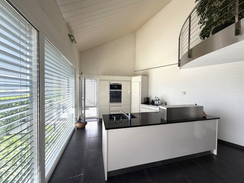 Design-Haus mit herrlicher Fernsicht! (4)