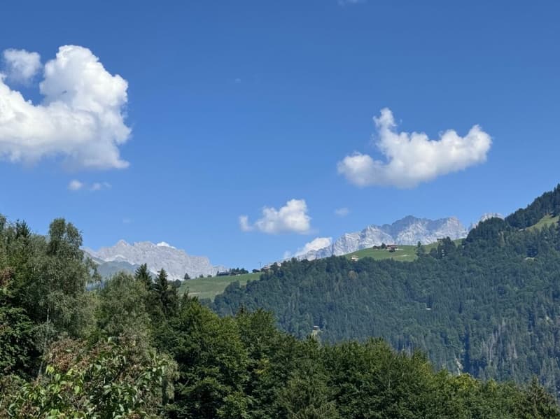 Bonheur alpin / Maiensäss (8)