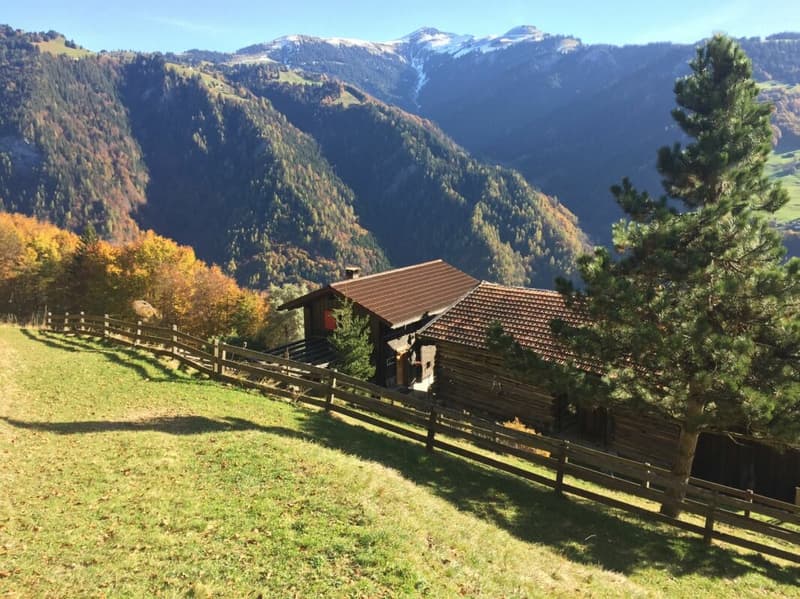 Bonheur alpin / Maiensäss (2)