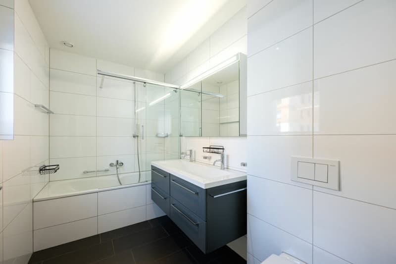 4.5-Room Apartment (8)