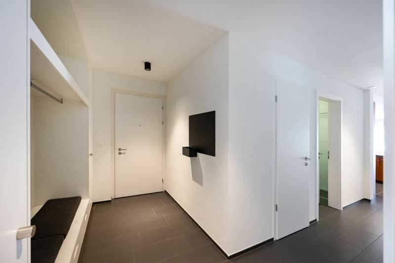 4.5-Room Apartment (3)