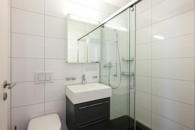 4.5-Room Apartment (10)