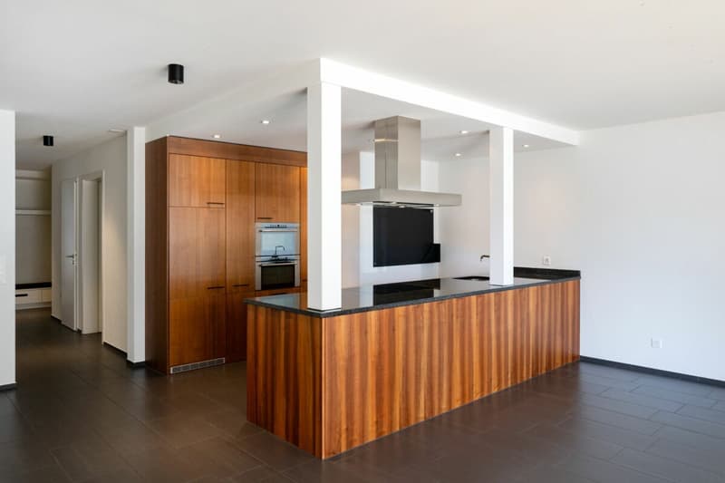 4.5-Room Apartment (5)