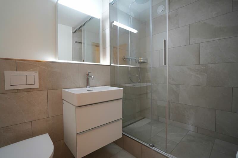 4.5-room apartment (9)