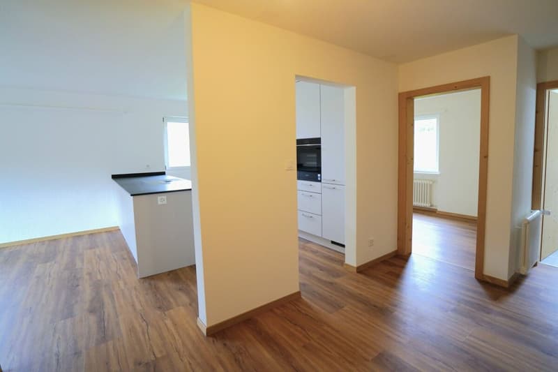 4.5-room apartment (2)