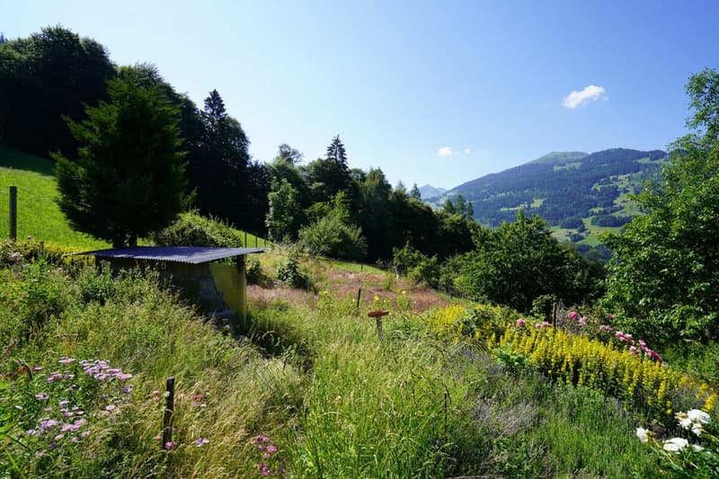 Bauernhaus mit Werkräumen, Stall und Garagenbox (8)