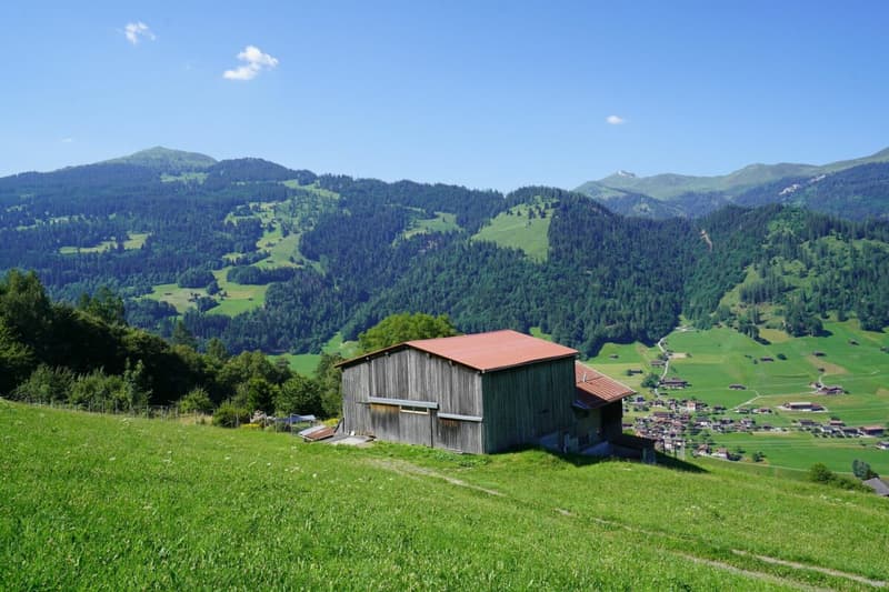 Bauernhaus mit Werkräumen, Stall und Garagenbox (4)