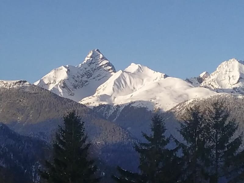 Panorama