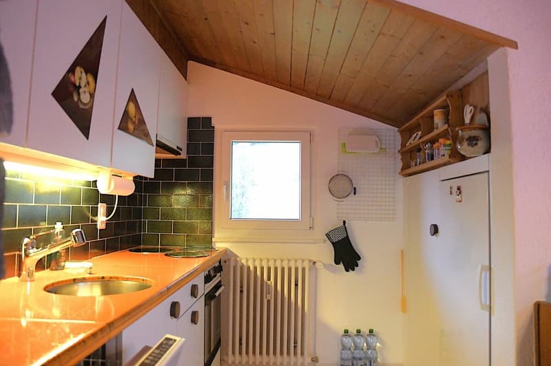 2.5-Zimmer-Dachwohnung ZWEITWOHNSITZ (7)