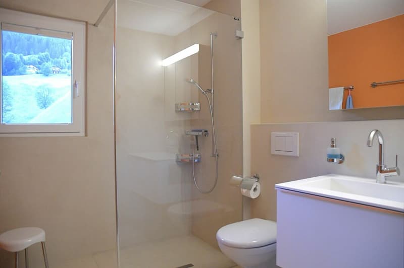 2.5-Zimmer-Dachwohnung ZWEITWOHNSITZ (6)
