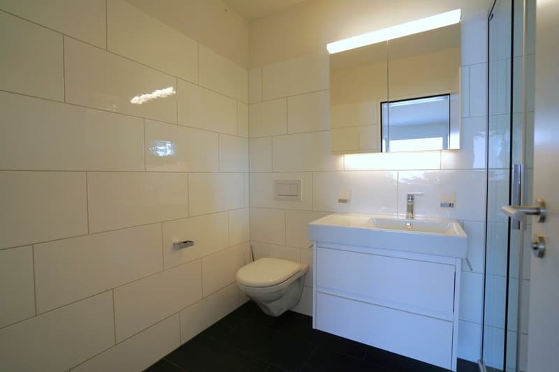 4.5-Room Attic Apartment SECOND HOME (8)