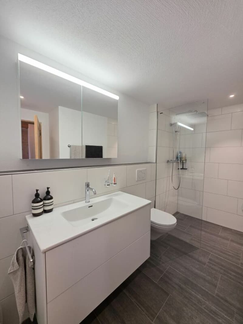 Renovierte 3.5-Zimmer-Wohnung ZUR DAUERMIETE (9)