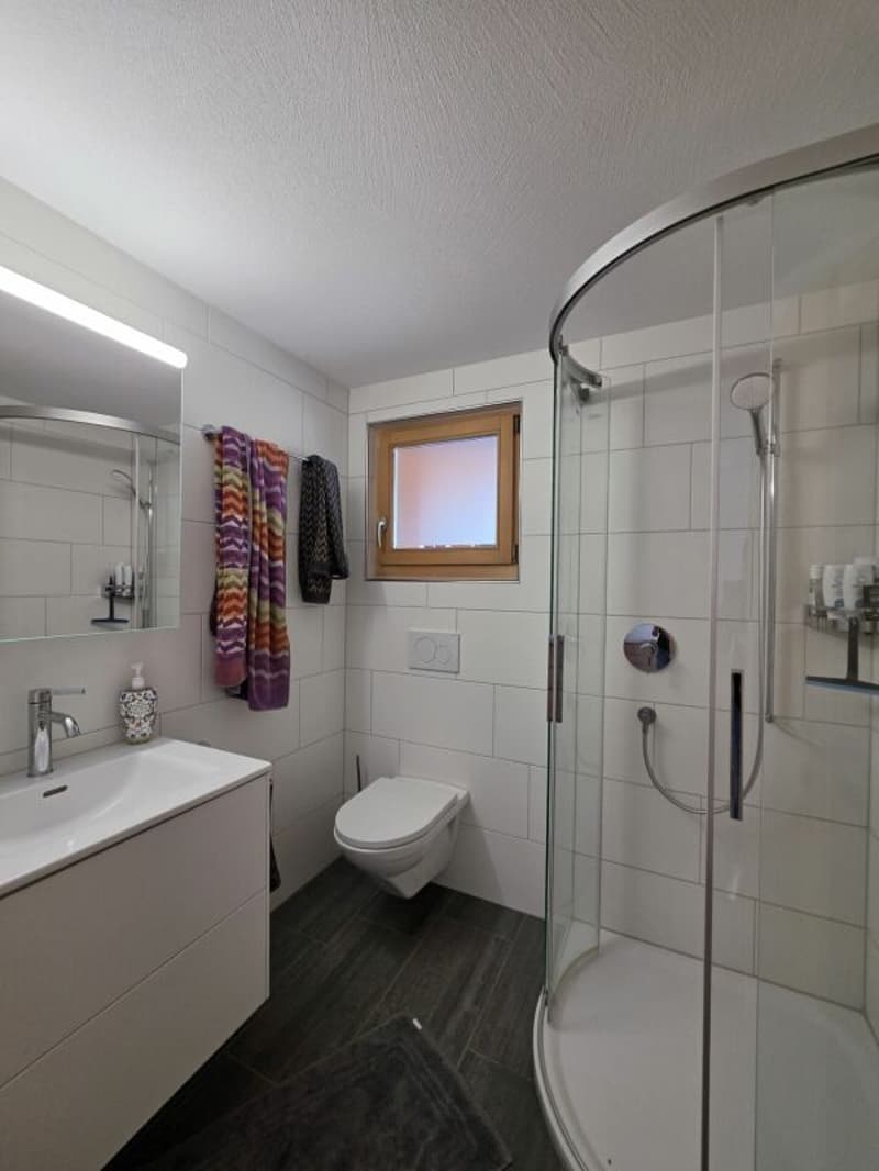 Renovierte 3.5-Zimmer-Wohnung ZUR DAUERMIETE (6)