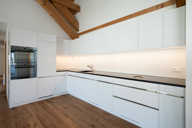 Moderne 4.5 Zimmerwohnung Nr. 4 in einem wunderschönen historischen Haus (4)