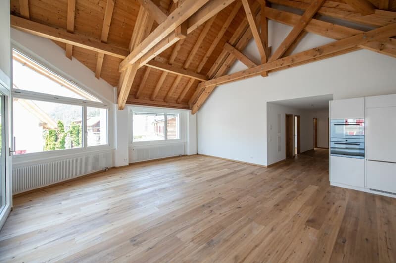 Moderne 4.5 Zimmerwohnung Nr. 4 in einem wunderschönen historischen Haus (3)