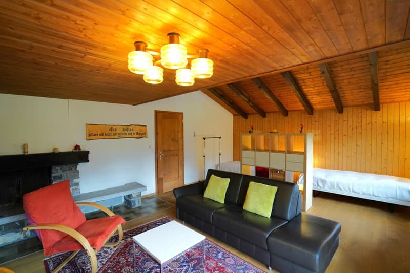 1.5-Zimmer-Dachwohnung (3)