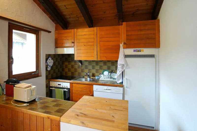 1.5-Zimmer-Dachwohnung (5)