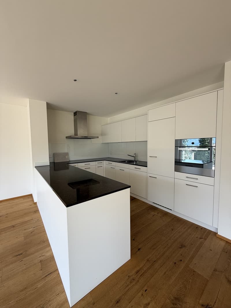 Sunny and spacious 4.5-room apartment near the lake (13)
