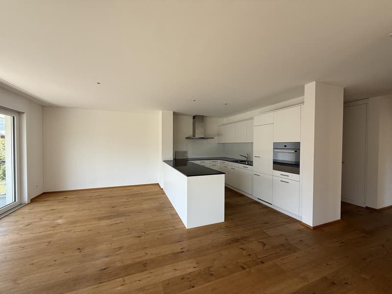 Sunny and spacious 4.5-room apartment near the lake (1)