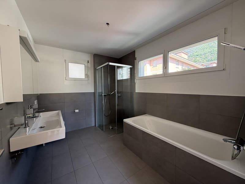 Sunny and spacious 4.5-room apartment near the lake (3)