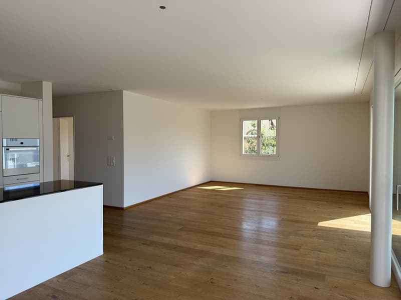 Sunny and spacious 4.5-room apartment near the lake (12)