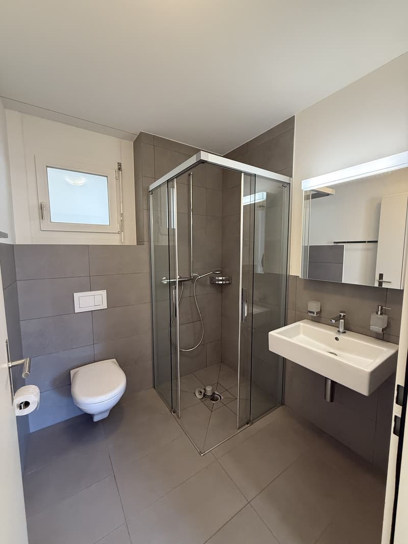 Sunny and spacious 4.5-room apartment near the lake (10)