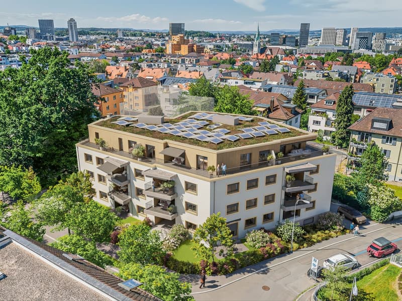 3.5 room new attic apartment in a quiet location in Oerlikon (1)