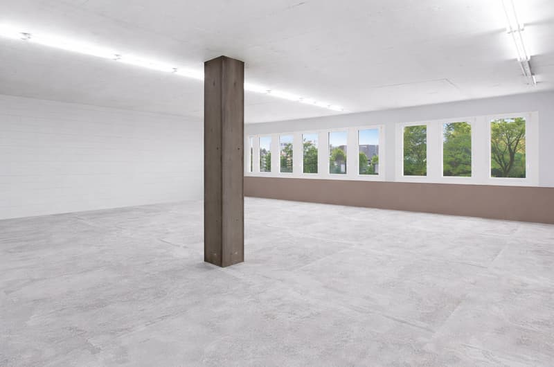 488 m² di spazio commerciale flessibile a Cham (2)