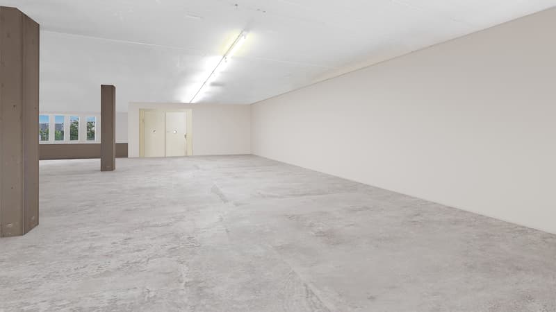 488 m² di spazio commerciale flessibile a Cham (4)