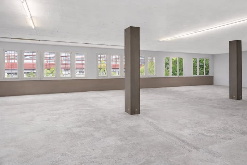 878 m² d'espace de bureau et commercial à Cham, combinable de manière flexible (5)