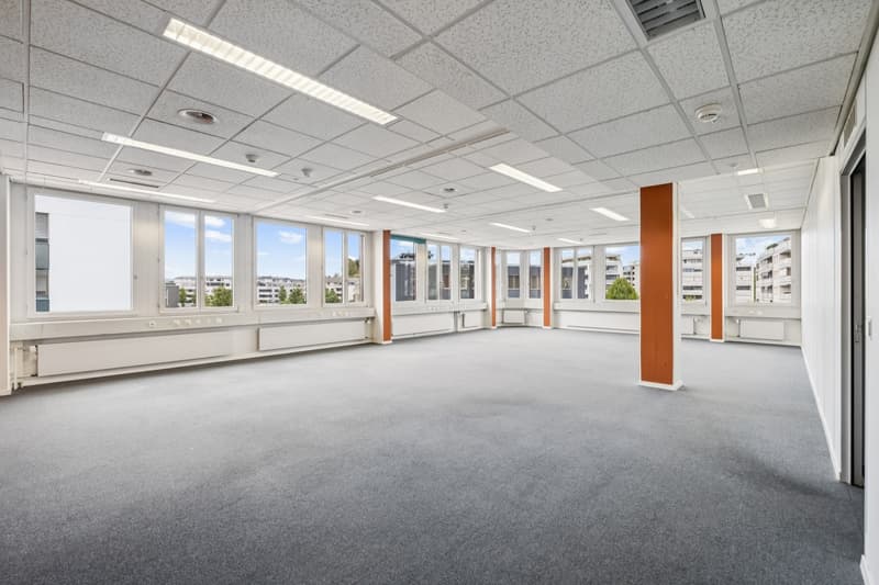 Temporäre Nutzung zu preiswerten Konditionen - Flexible Mietflächen ab 74 m² bis 2 000 m² (2)
