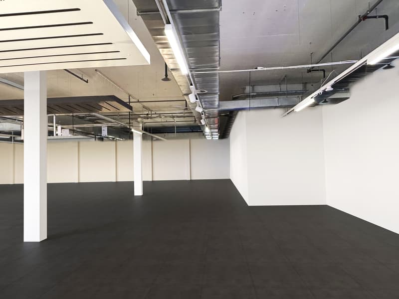 Spazio di vendita o servizio in posizione ideale 826 m² (5)