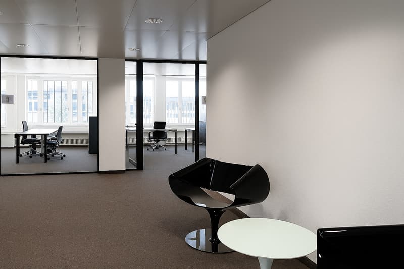 Casa d'impresa Neuhof - Interni moderni (8)