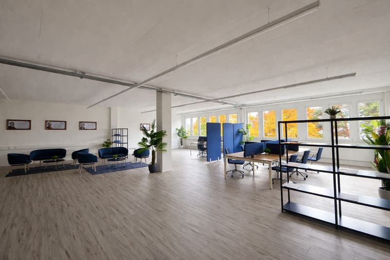 390 m² di spazio per uffici a Cham, molto spazio a condizioni attraenti (3)