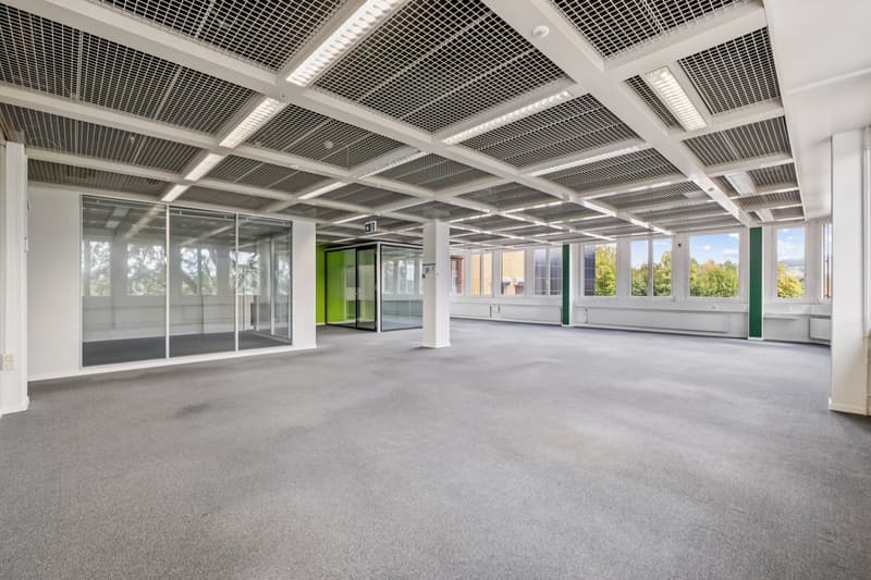 Perfekte Lösung für temporären Flächenbedarf - Individuelle Büro-/Gewerbeflächen ab 74 m² (4)