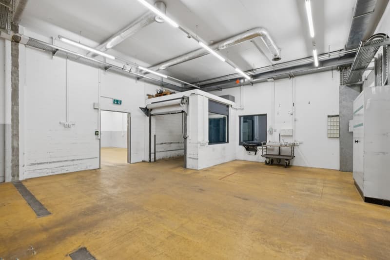 Spazi commerciali con possibilità di utilizzo polivalente - Situati in posizione centrale a Oensingen (7)