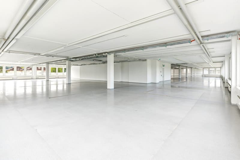 Espace pour vos idées - Bureaux et locaux commerciaux à Rotkreuz (4)
