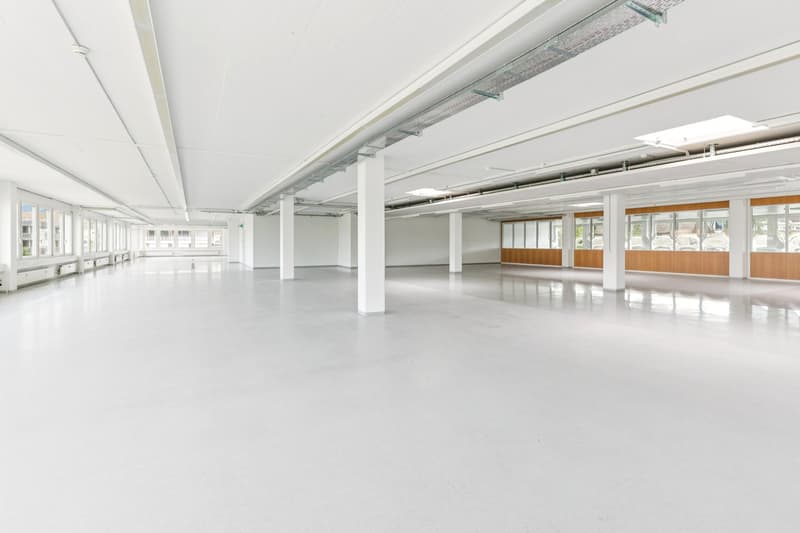 Espace pour vos idées - Bureaux et locaux commerciaux à Rotkreuz (3)