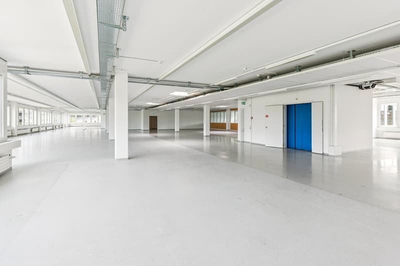 Espace pour vos idées - Bureaux et locaux commerciaux à Rotkreuz (2)