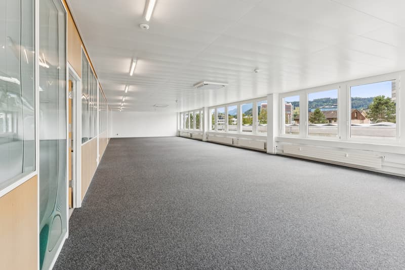 Adresse bureaux/commerces attractive à Rotkreuz - adaptée à différents usages ! (6)