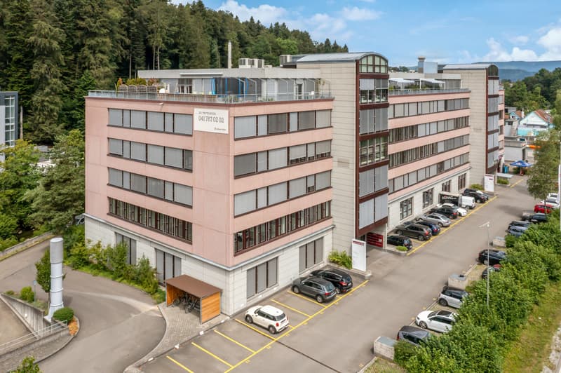 Attractive commercial space - office, production, and storage under one roof (1)