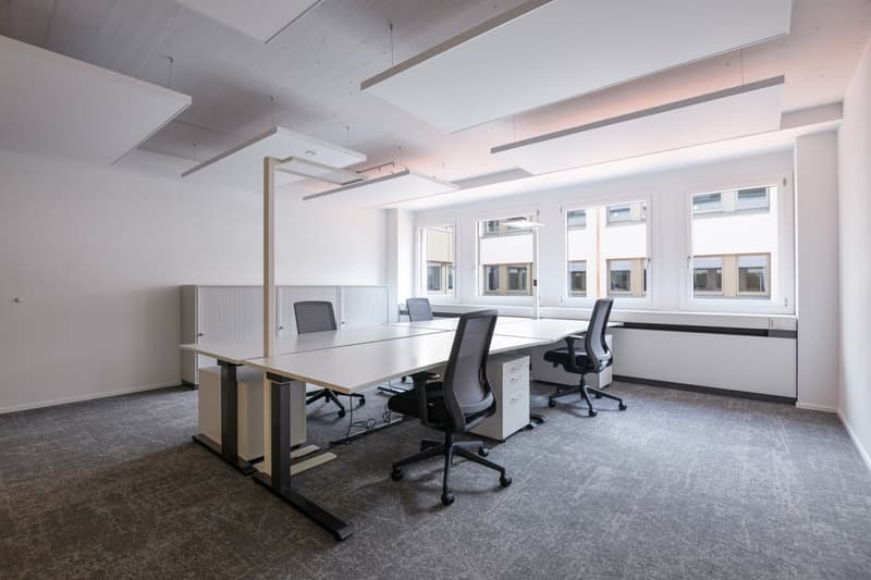 Beispiel eines 35 m² Privatbüros  optional möbliert erhältlich